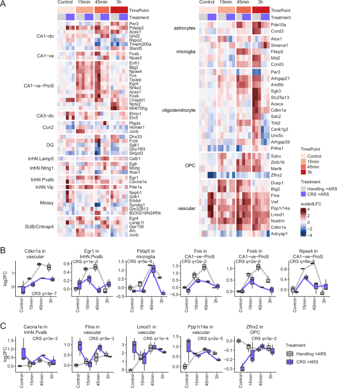 Fig. 6: Transcriptomic stress habituation occurs across cell types.
