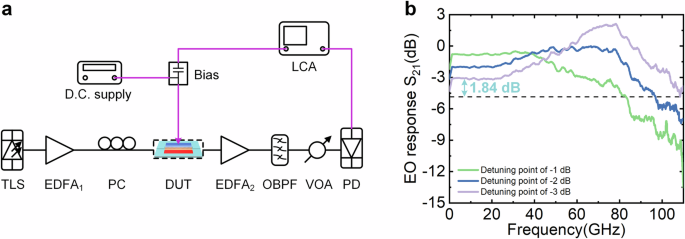 Fig. 3: Electro-optic bandwidths of the proposed modulator.