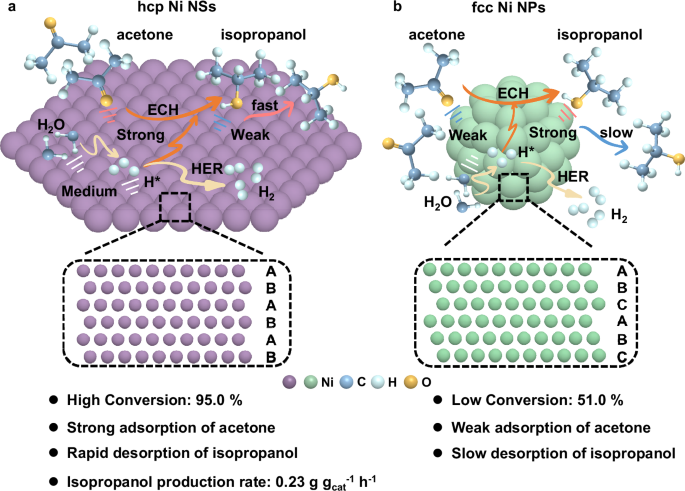 Fig. 1: Enhancing electrocatalytic acetone hydrogenation performance through morphology and crystal phase regulation strategy.