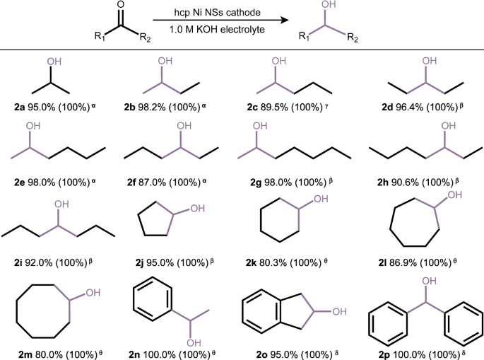 Fig. 5: Substrate scope.