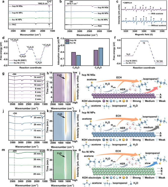 Fig. 6: Mechanism exploration of ECH and density functional theory (DFT) calculation.