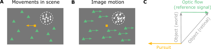 Fig. 1: Schematic illustration of smooth pursuit eye movement and its visual consequences in a 2D scene.