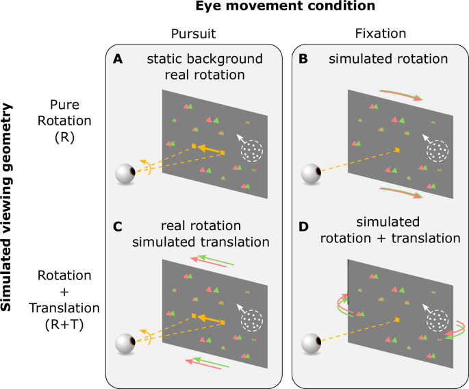 Fig. 4: Stimulus and task conditions for Experiment 1.