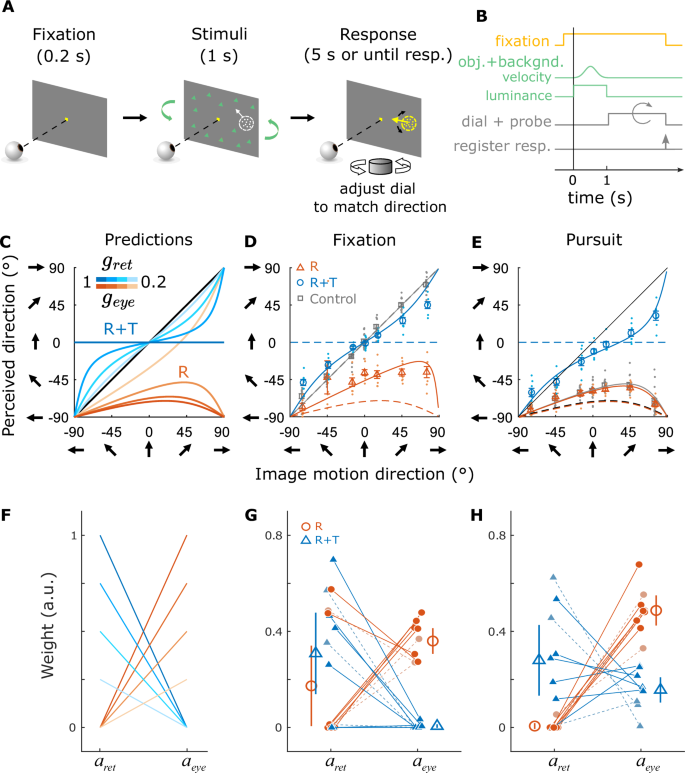 Fig. 6: Procedure, predictions, and results for the motion estimation task.
