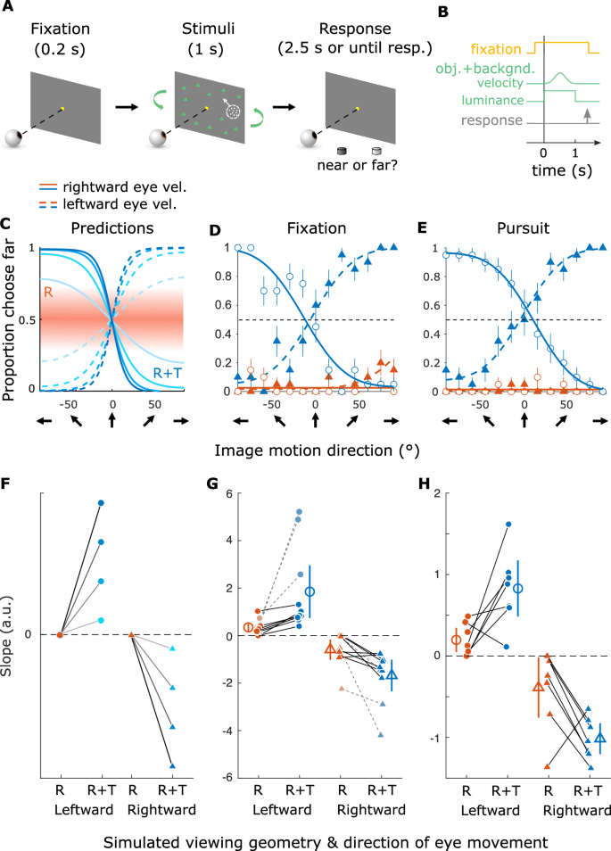Fig. 7: Procedure, predictions, and results for the depth discrimination task.