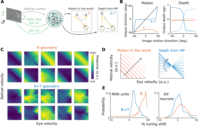 Fig. 8: Recurrent neural network trained to perform motion and depth computations.