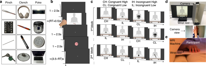 Fig. 1: Decision-making task using naturalistic hand gestures and affordance-conferring stimuli.
