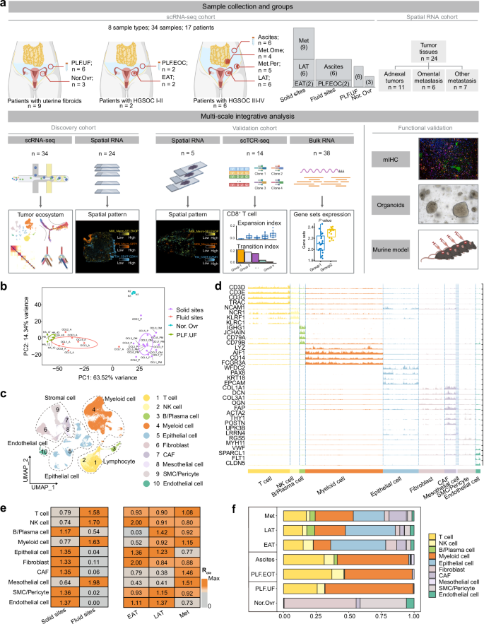 Fig. 1: A single-cell RNA-seq atlas reveals site-specific characteristics and remolding of the tumor ecosystem in metastatic HGSOC.