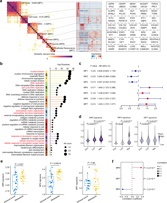 Fig. 5: Malignant epithelial cells transcriptional heterogeneity and genomic alterations.