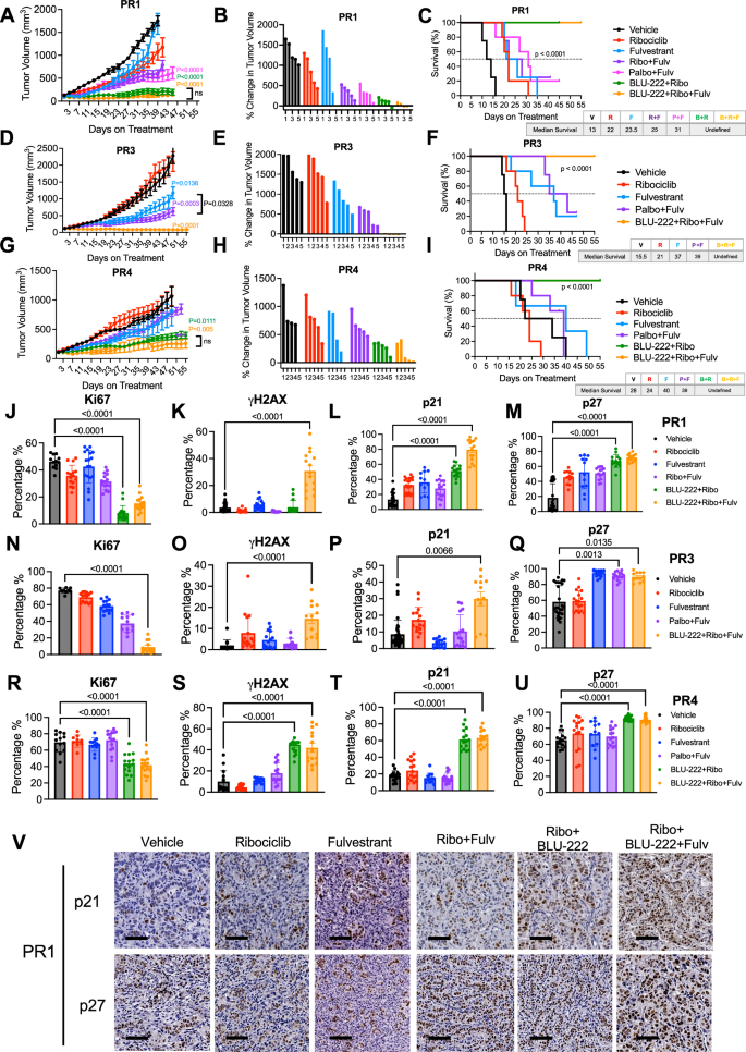 Fig. 6: Combination Treatment with BLU-222 and Ribociclib Synergistic in ER+/HER2− PDX Models That Progressed on Palbociclib Treatment.