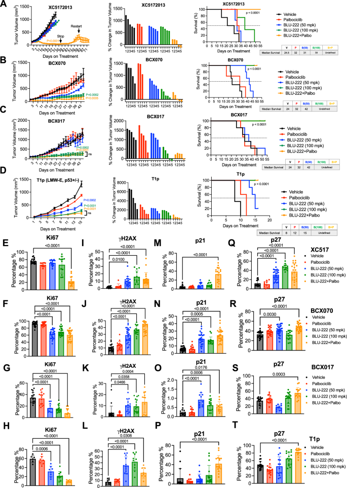 Fig. 7: Combination Treatment with BLU-222 and CDK4/6 Inhibitor Synergistic in TNBC PDX Models That Progressed on Palbociclib Treatment and in Transgenic Mice with Overexpression of LMW–Cyclin E.