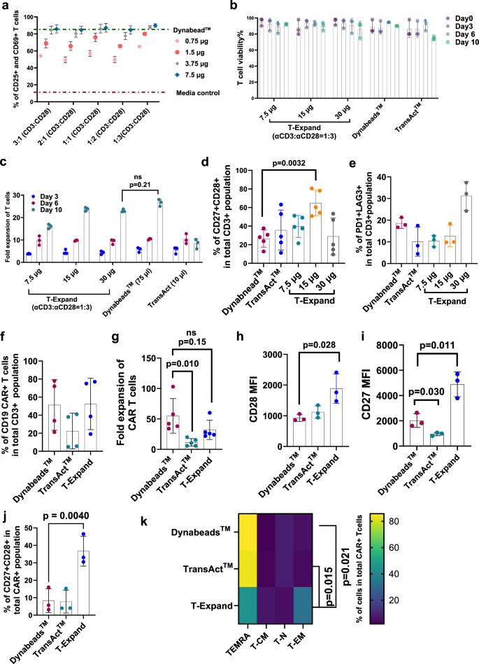 Fig. 3: CAR T cell manufacturing with T-Expand results in T cell products with a favorable phenotype for ACT.