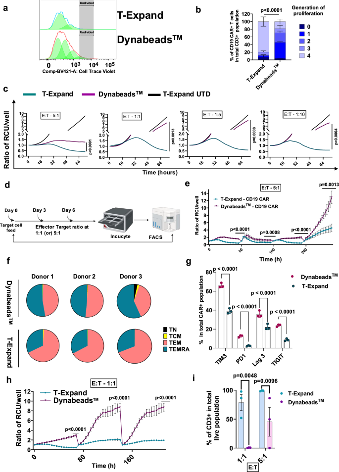 Fig. 4: T-Expand enhanced the proliferation and cytotoxic capacity of anti-CD19 CAR T cells.