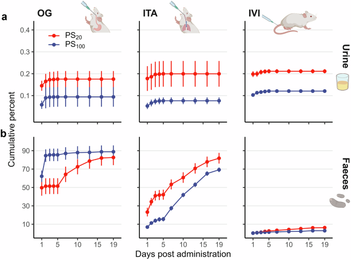 Fig. 1: Potential elimination of PS NPs through urine and faeces.