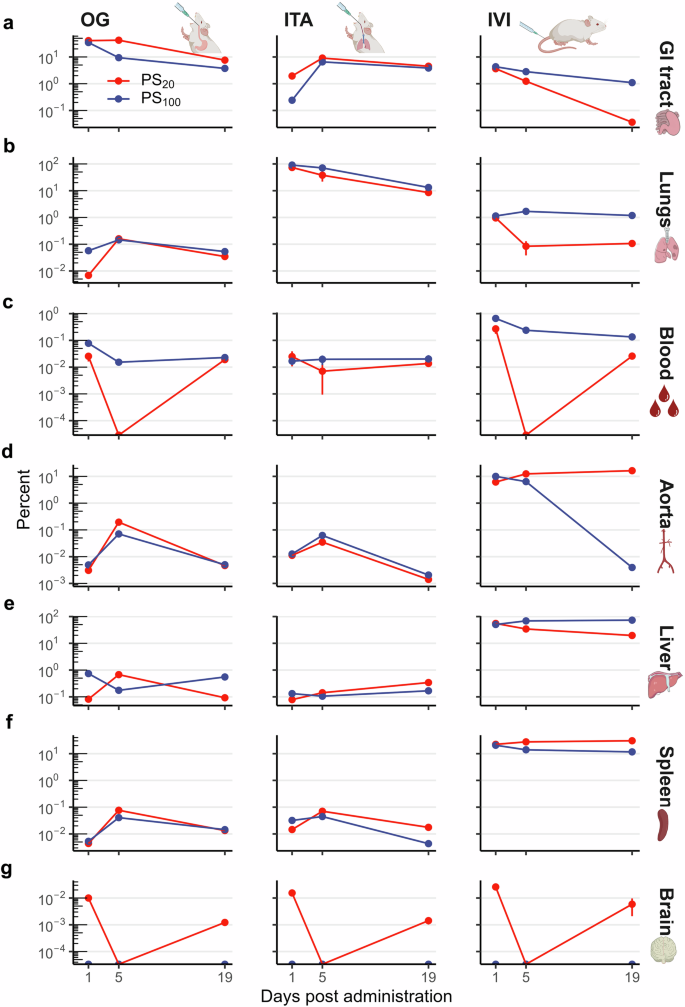 Fig. 2: Distribution of PS NPs in different tissues and blood.