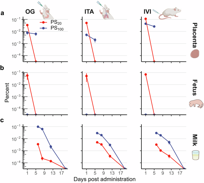 Fig. 4: Maternal transfer of PS NPs.