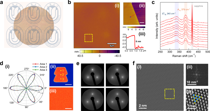 Fig. 2: Wafer-scale NbS2 single crystals.