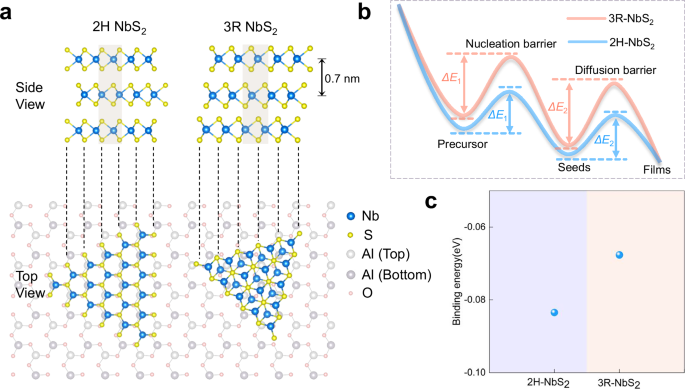Fig. 3: Substrate-guided selective growth of 2H-NbS2.