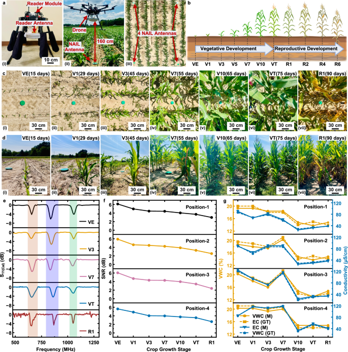 Fig. 6: UAV-assisted in-field measurements of HARVEST during a full corn crop cycle.