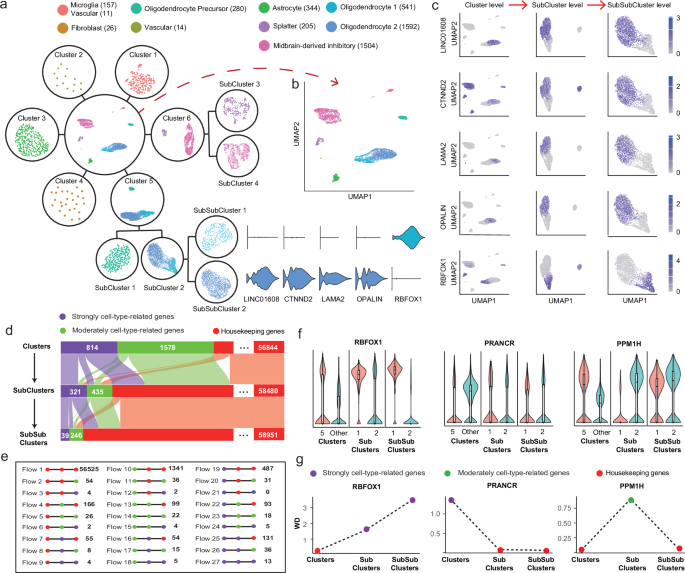 Fig. 4: Tree-structured analysis of human midbrain red nucleus cells reveals hierarchical gene expression patterns.