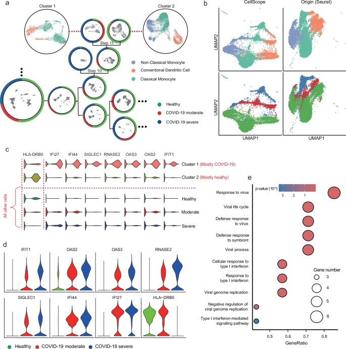 Fig. 5: Tree-structured visualization, differential gene expression analysis, and GO enrichment for the COVID-19 PBMC dataset64.