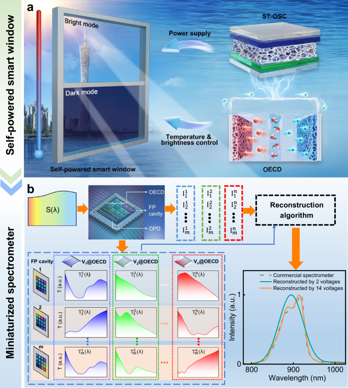 Fig. 1: Design and working principles of the multifunctional electrochromic platform.