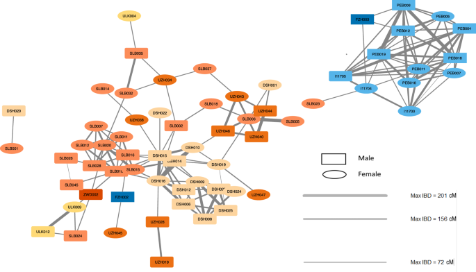 Fig. 5: IBD sharing within and between the sites associated with the Únětice and the Unterwölbling culture.