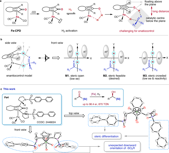 Fig. 1: Overview of the development of Fe-CPDs and our work.