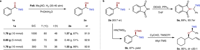 Fig. 5: Gram-scale synthesis and derivatizations.