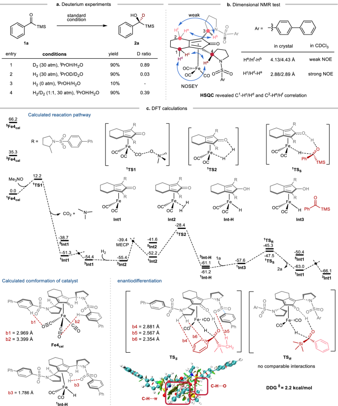 Fig. 6: Mechanistic studies based on Fe4.