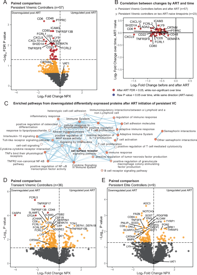 Fig. 2: Longitudinal plasma proteomic changes following anti-retroviral therapy initiation.