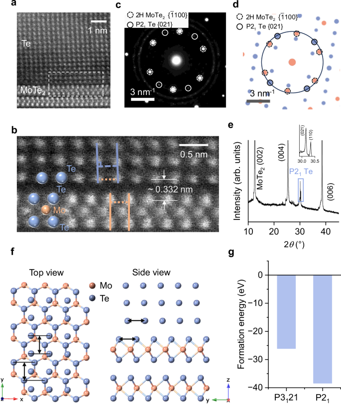 Fig. 2: Structure of P21 Te/2H MoTe2 heterostructure.