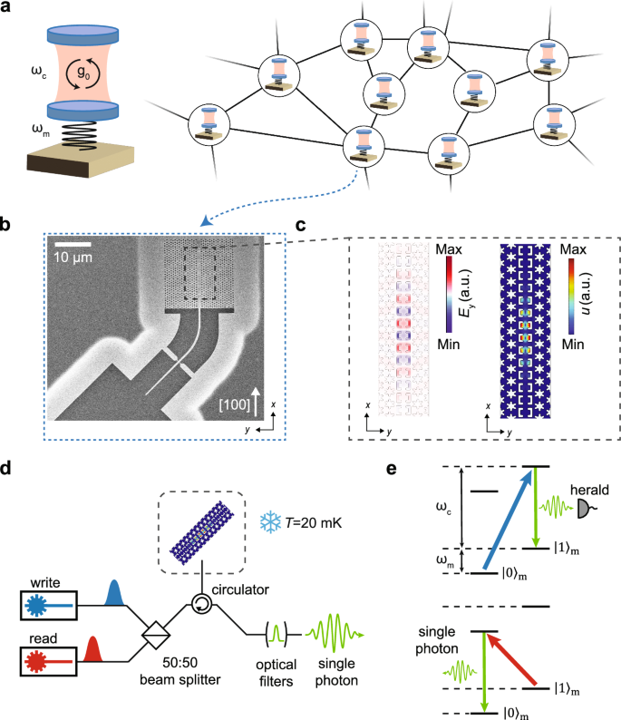 Fig. 1: Quantum network based on optomechanical crystals.