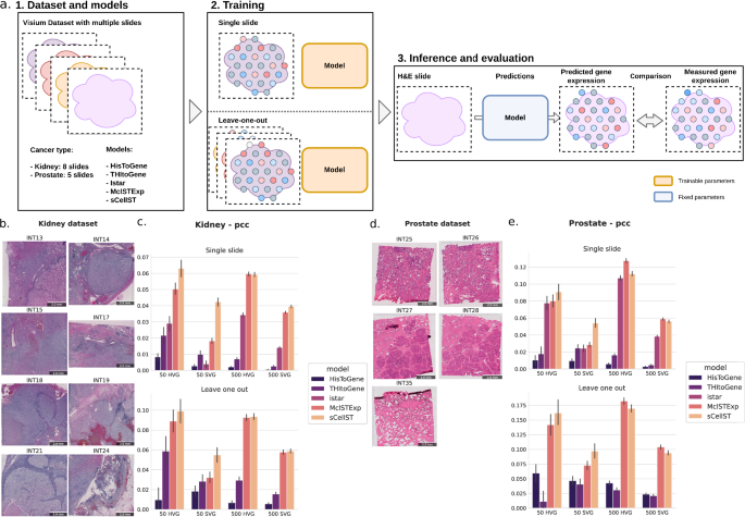 Fig. 3: Benchmark of sCellST.