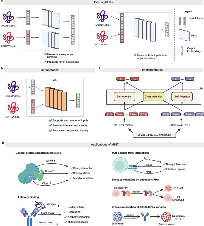 Fig. 1: Approaches to PPI modeling and MINToverview.