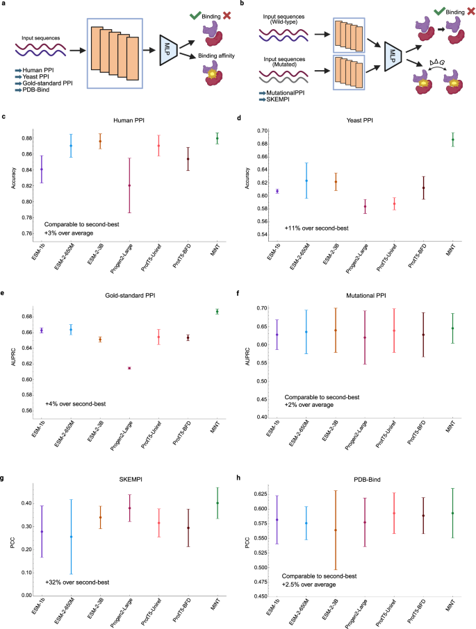 Fig. 2: Performance of MINT versus other PLMs on general PPI tasks.