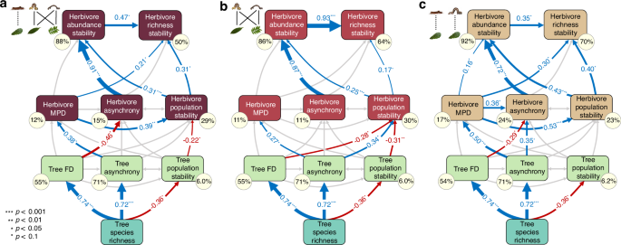 Fig. 3: Effects of tree diversity on herbivore community stability via bottom-up regulation based on path model results.
