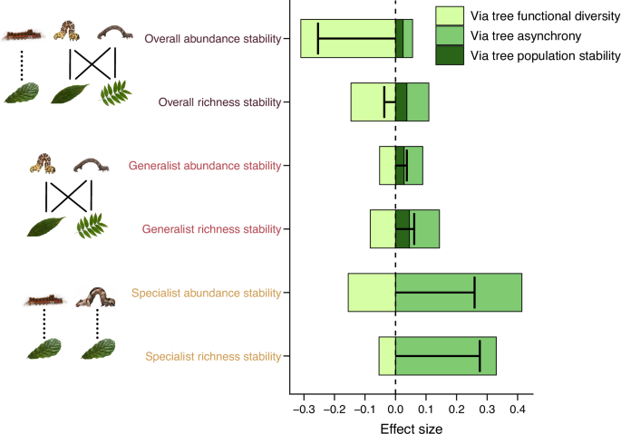 Fig. 4: Effects of tree species richness on herbivore richness stability from path models.