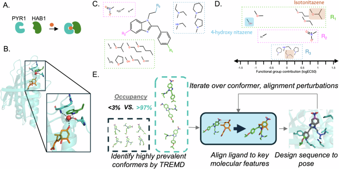 Fig. 1: Computational design of a pan-nitazene biosensor.