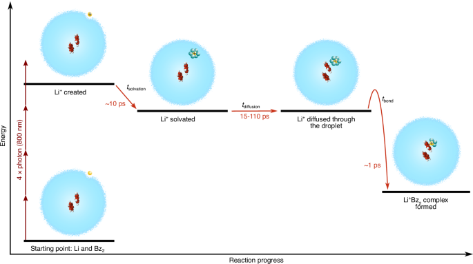 Fig. 4: Reaction pathway for Li+ + Bz2 → Li+Bz2.
