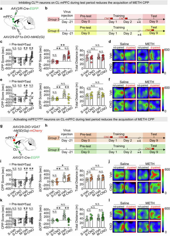 Fig. 7: The bottom-up CL-mPFC pathway contributes to the retrieval of METH reward memory during the process of METH CPP-Test.