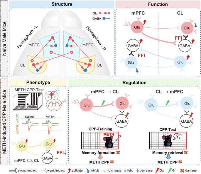 Fig. 8: Schematic summary of present study.