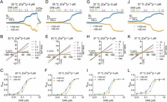 Fig. 2: DAB activates TRPM4 independence of Ca2+ and temperature.