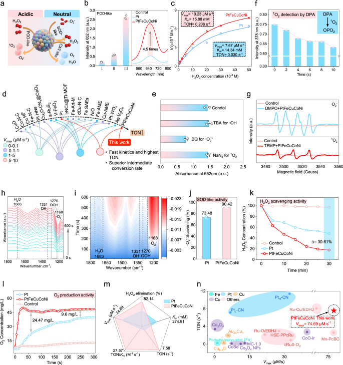 Fig. 3: Exploration of pH-gated ROS-catalytic activities of HEA-based Janus artificial enzymes.