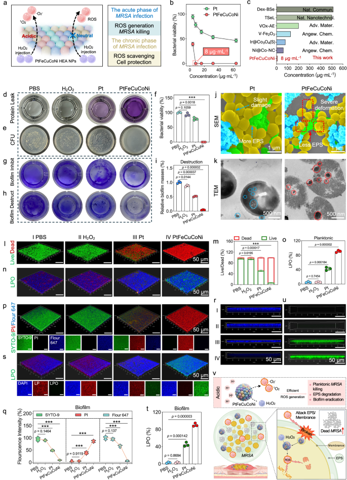 Fig. 5: Evaluation of in vitro bactericidal actions on MRSA.