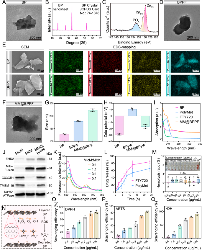 Fig. 2: Synthesis and characterization of MM@BPPF.