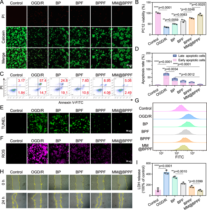 Fig. 4: In vitro therapeutic efficacy of MM@BPPF.