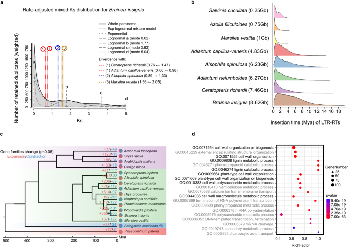 Fig. 2: Comparative genomics analyses.