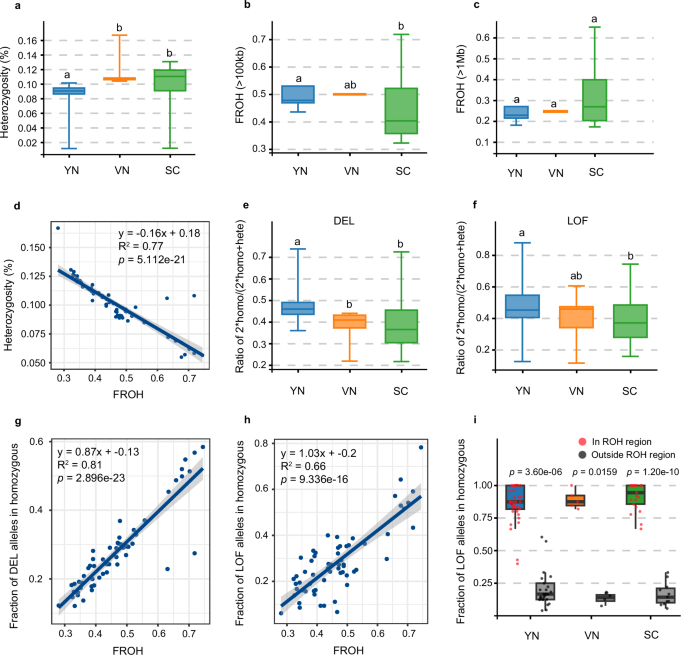 Fig. 4: Characterization of inbreeding and genetic loads in B. insignis.
