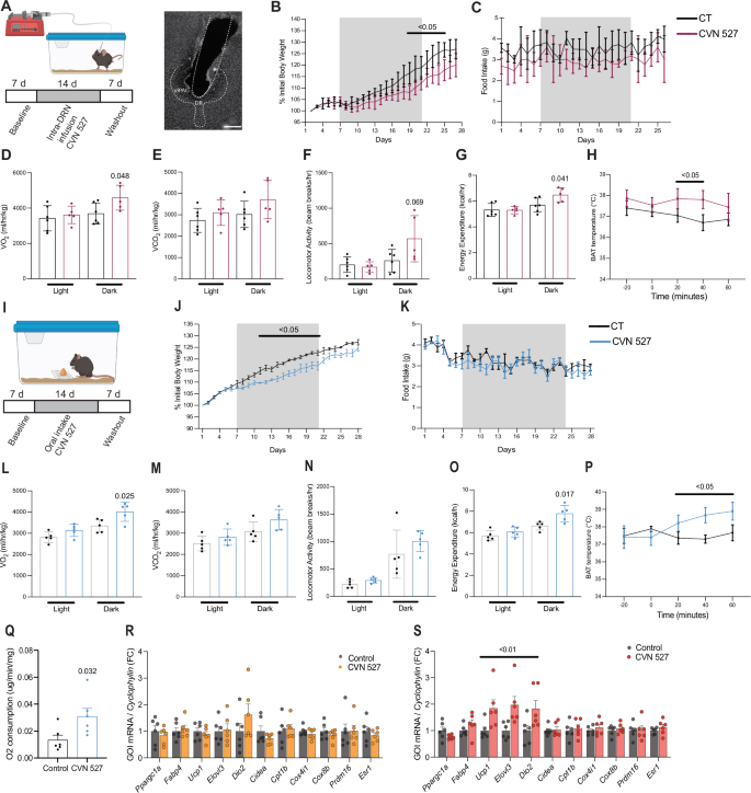 Fig. 4: Intra-DRN and orally administered CVN527 reduce body weight gain in DIO mice by enhancing thermogenesis.